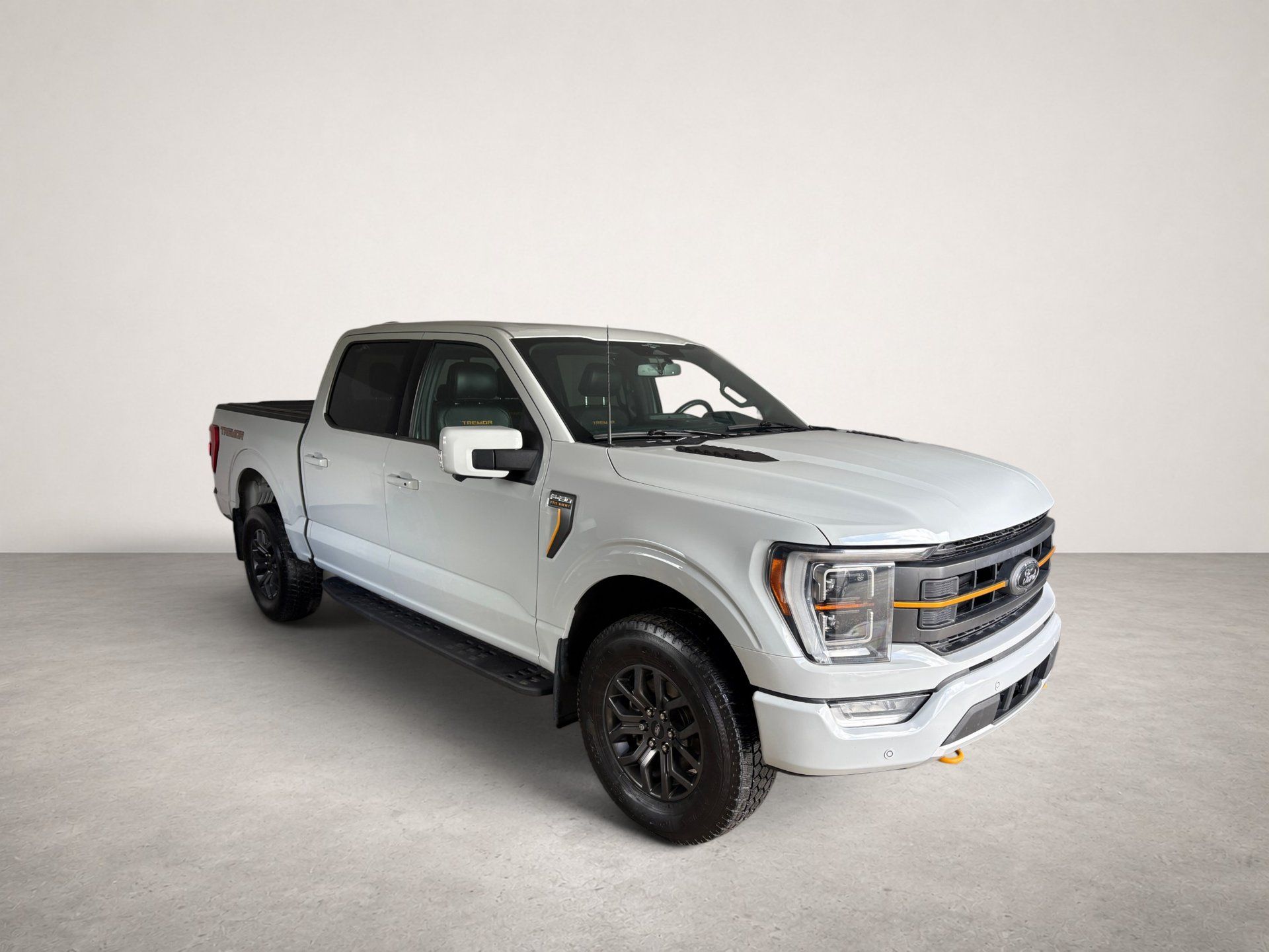 Ford F-150 2023 - Image 4